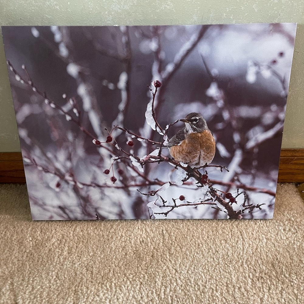 Robin Light-Up Canvas Wall Decor
